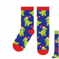 Kids Christmas Socks  Dinosaur 2pk Medium