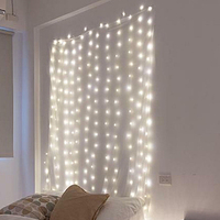 Curtain Seed Lights USB powered 300 Warm White LEDs