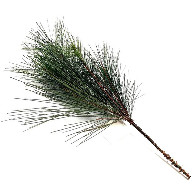 Buy Pine Spray 50cm in Australia | Real Christmas Trees