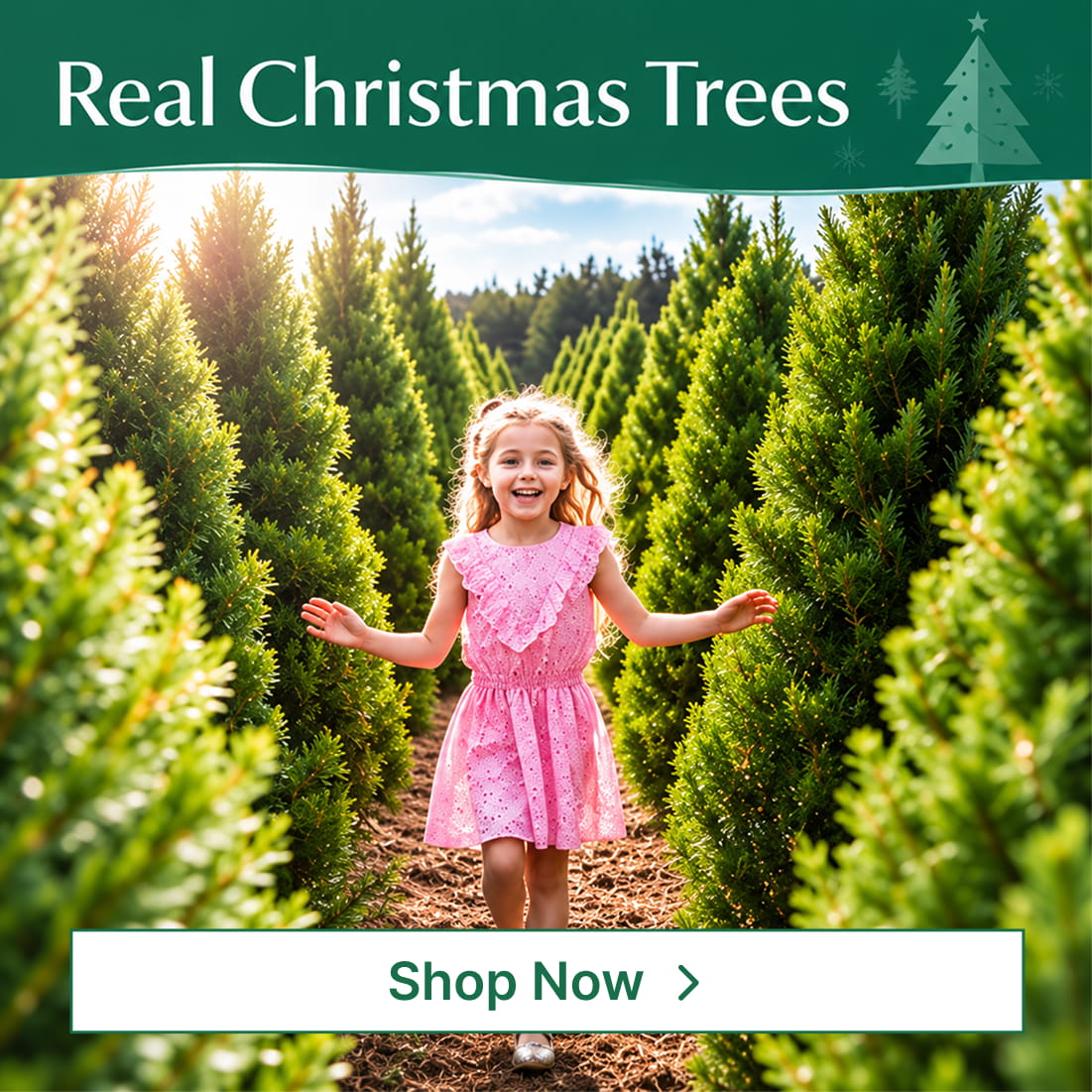 Order your tree