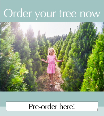 Order your tree