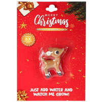 Growing Reindeer - Just add Water