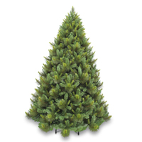 Ponderosa Pine 8 ft