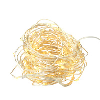 10m Warm White 100 LED String Lights