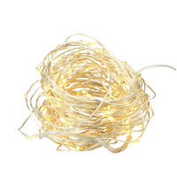 100 LED seed Lights on 10M Silver Wire