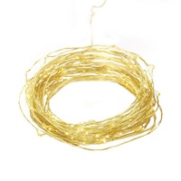 4m Gold 40 LED String Lights