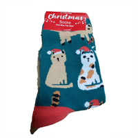 Christmas  Cat  Socks