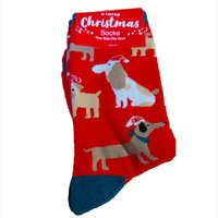 Christmas  Dog  Socks