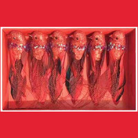 Red  Glitter Bird with Sequins  Clip on 6pc 12cm