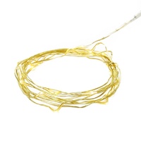 2m Gold  20 LED String lights