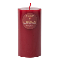 Cinnamon Spice and Berries Scented Soy Candle 3x6