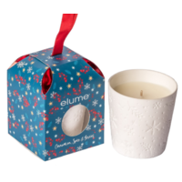 Cinnamon Spice and Berries Soy Candle
