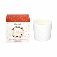Elegant Christmas Cinnamon Spice and Berries Scented Soy Candle in Porcelain Pot