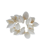 Shell Napkin Ring 6cm