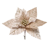 Champagne Ivory  Etched Poinsettia Clip 33cm