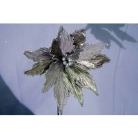 Natural Poinsettia  50 cm