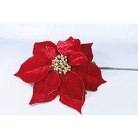 Red and Gold Velvet Poinsettia