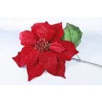 Burgundy Velvet  Poinsettia