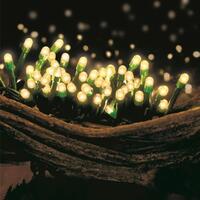 80 LED Fairy Lights - Warm White (Gn Wire)