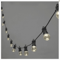 Festoon - 20 Clear LED Bulbs  - Black Lead