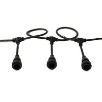 Festoon - 10 Hanging Sockets - Black Lead 
