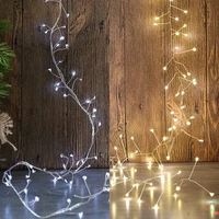 400 Micro LED Cluster Lights - Warm White and White