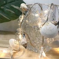 LED Garland with Mixed Shells and Bottles