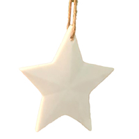 Lucia Ceramic Hanging Star 7cm