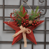 Red Metal Star with Berries 38cm