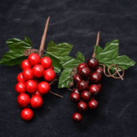 Berry Bunch  18cm 2A Stems