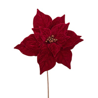 RedPoinsettia on Stem