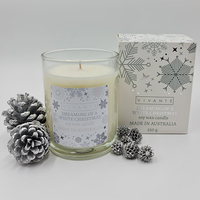 Dreaming of a White Christmas  Soy blend Candle 230g