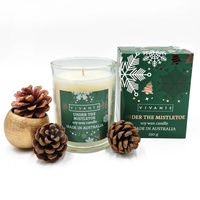 Under The Mistletoe  Soy blend Candle 230g