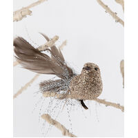 Fable Sparkle Champagne with Silver Tail Bird 10cm 4pc