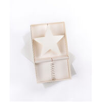 Fable Star Tree Topper  22cm