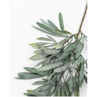 Olive Branch 75cm