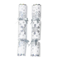 Silver Holographic Catering Crackers Box of 36