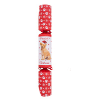 Pet Dog Pawfect Christmas Cracker 35cm