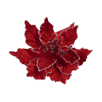 Red Poinsettia with White Edge 25cm