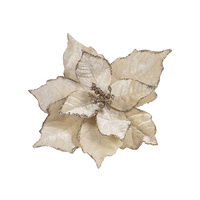 Poinsettia Dark Cream and Silver Clip 25cm