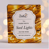 Seed Lights 5m Warm White/ Silver Wire
