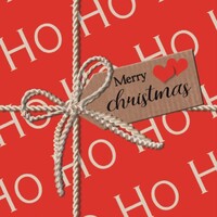 Ho Ho Red Luncheon - Disposal Napkin  20pc