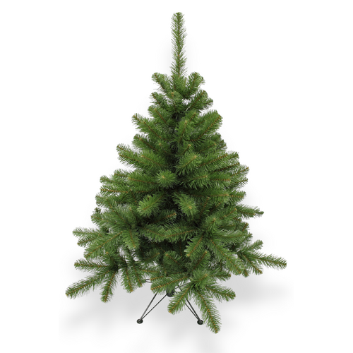Norway Spruce 4 ft