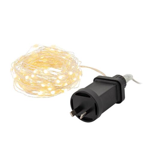 100 Warm White LED String Lights (Silver Wire)