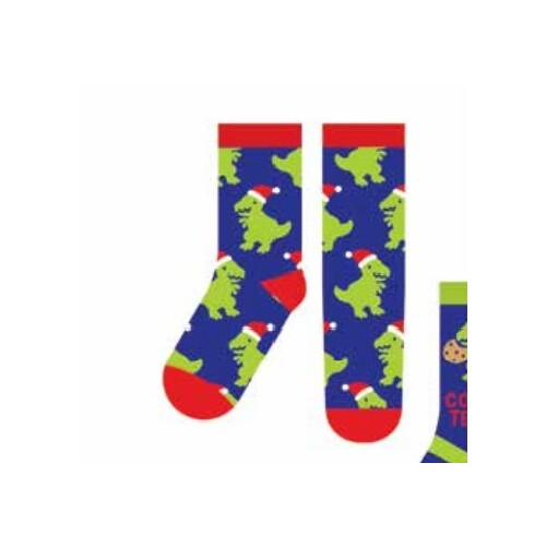 Kids Christmas Socks  Dinosaur 2pk Small