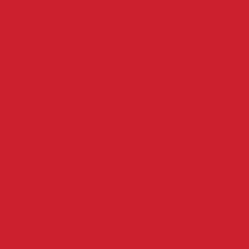 Red Solid Colour FSC Paper Folded Sheet Wrap 1 pc
