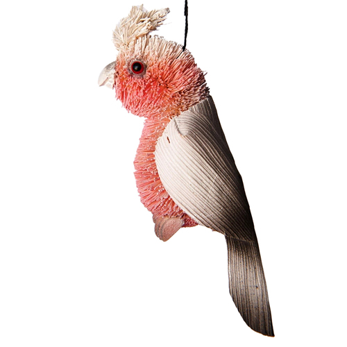 Galah Bristle Christmas Decoration 9cm