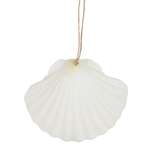 Hanging Natural Shell Decoration Noosa  7.5cm