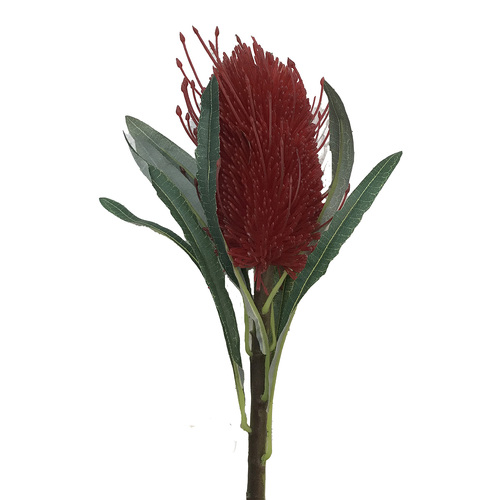 Banksia Stem 61cm
