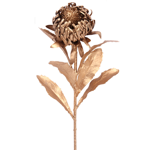 Copper Gold Protea Stem 70cm